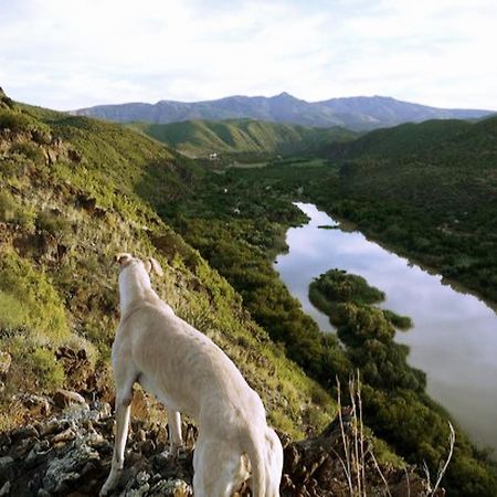 River View Cottages Calitzdorp Eksteriør bilde